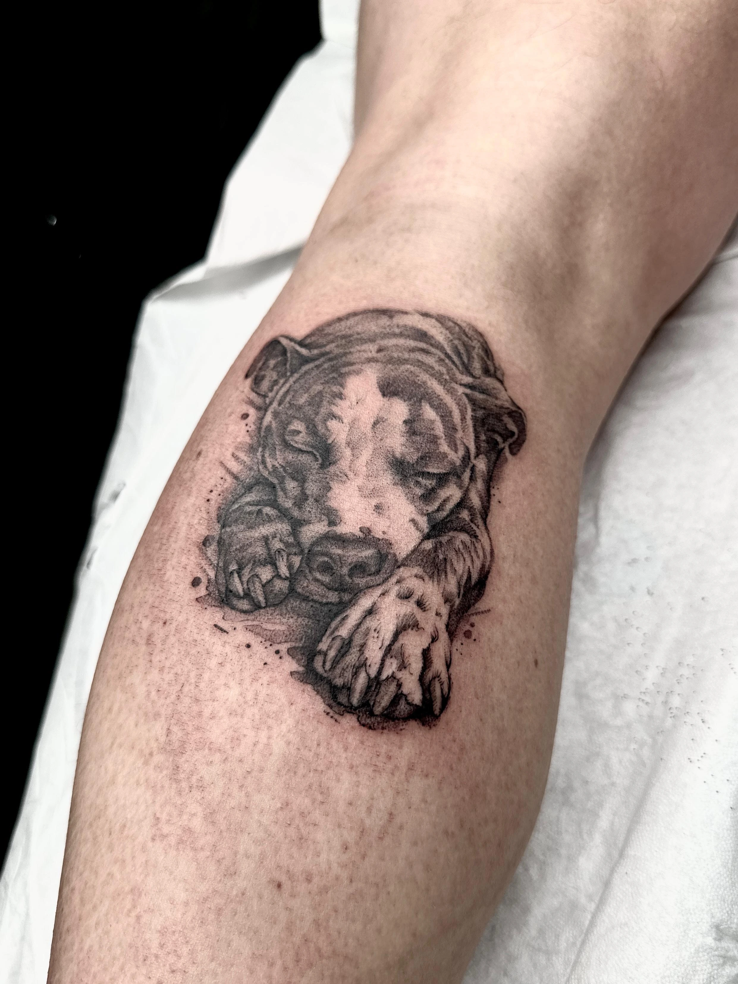 Tatuaje de perro realista - Lux Tattoo Studio León